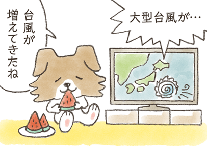 episode.9　台風　